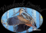 Woodcock Limited